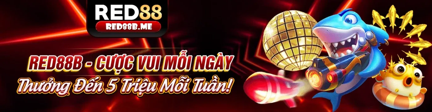 Khuyến Mãi Độc Quyền 555win