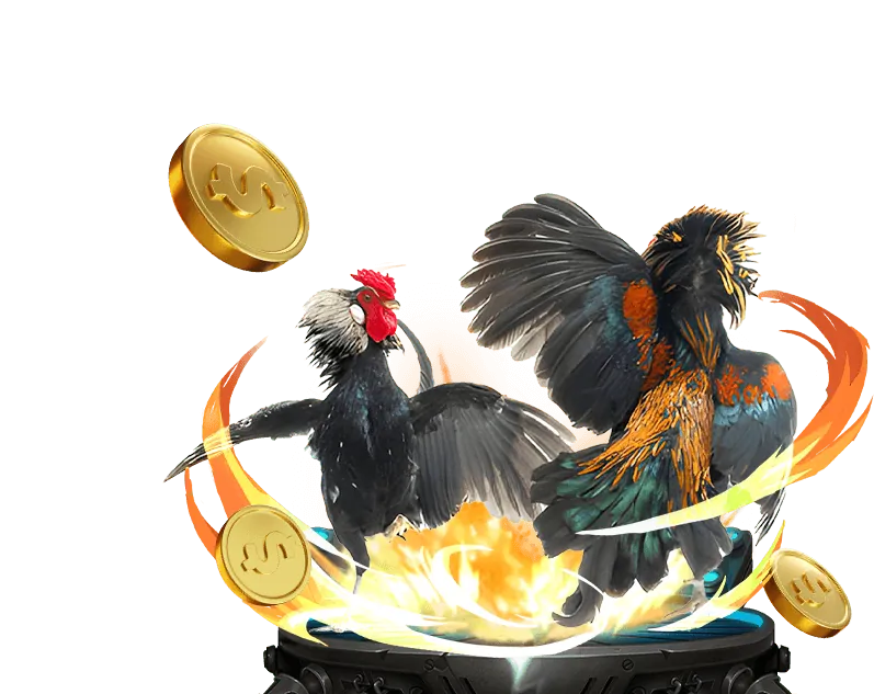 Khuyến Mãi Sự Kiện Đặc Biệt 555win